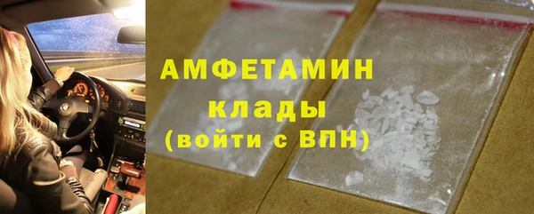 прущие грибы Вязники