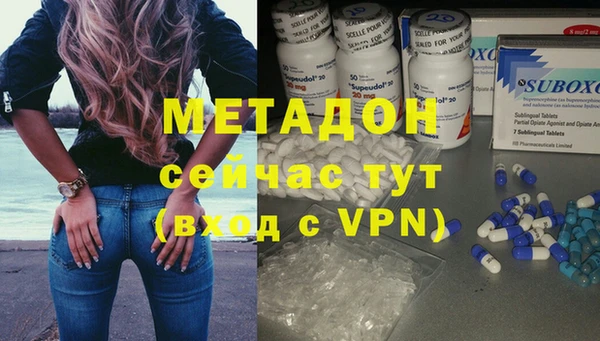 прущие грибы Вязники