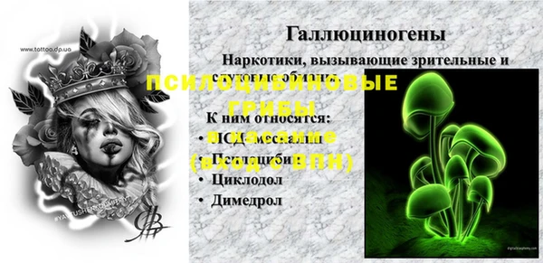 a pvp Вяземский