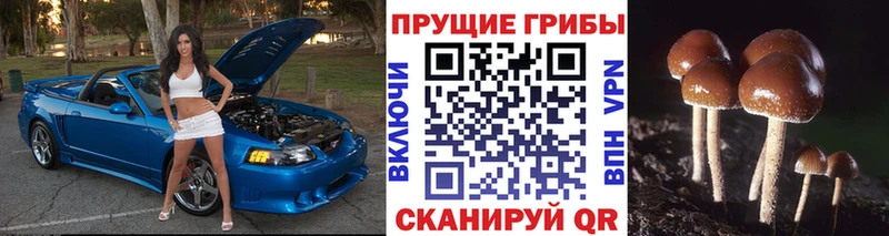 Псилоцибиновые грибы ЛСД Инта